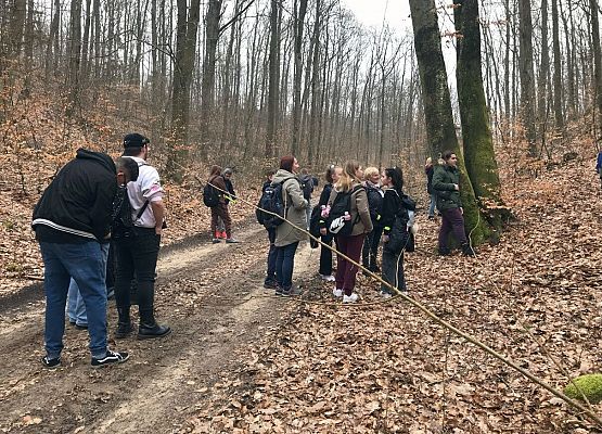 Grafika 7: Witaj wiosno, żegnaj zimo!