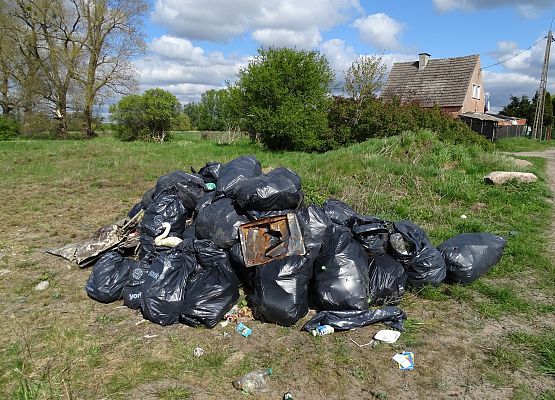 Grafika 20: Zebraliśmy tonę nieczystości znad Łeby i Okalicy