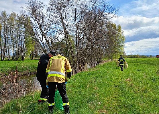 Grafika 6: Zebraliśmy tonę nieczystości znad Łeby i Okalicy