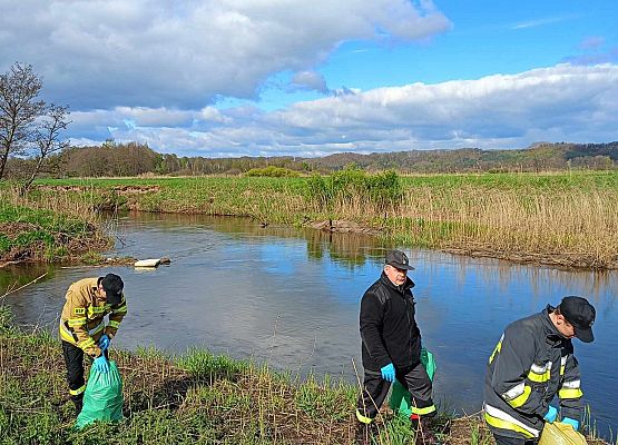 Grafika 4: Zebraliśmy tonę nieczystości znad Łeby i Okalicy