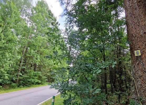 Grafika 6: Odnowienie oznakowania szlaku św. Jakuba w powiecie lęborskim