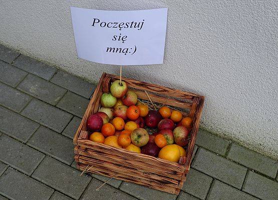 Grafika 12: W odwiedzinach w gminie Cewice