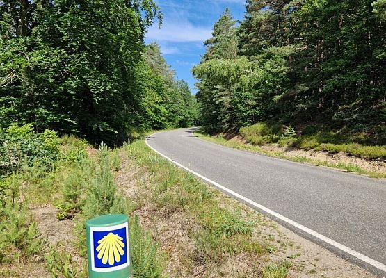 Grafika 4: Uzupełnienie oznakowania szlaku św. Jakuba w powiecie lęborskim