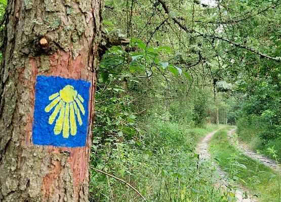 Grafika 9: Uzupełnienie oznakowania szlaku św. Jakuba w powiecie lęborskim