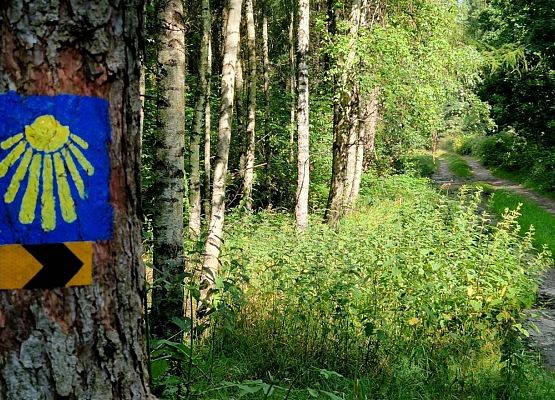 Grafika 10: Uzupełnienie oznakowania szlaku św. Jakuba w powiecie lęborskim