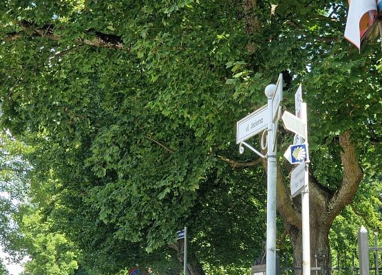 Grafika 12: Uzupełnienie oznakowania szlaku św. Jakuba w powiecie lęborskim