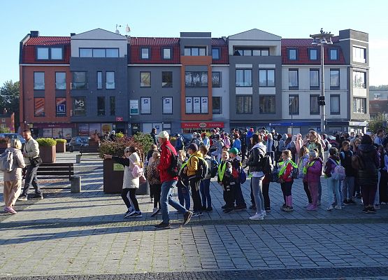 Grafika 7: Turystyczne obchody ETZT