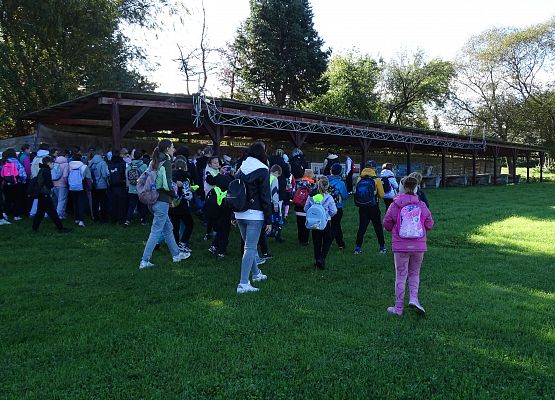 Grafika 12: Turystyczne obchody ETZT