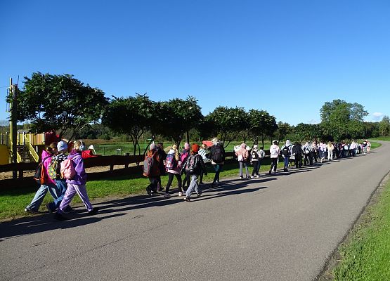 Grafika 19: Turystyczne obchody ETZT