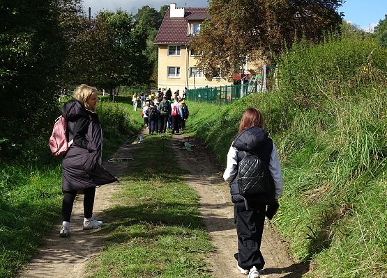 Grafika 22: Turystyczne obchody ETZT