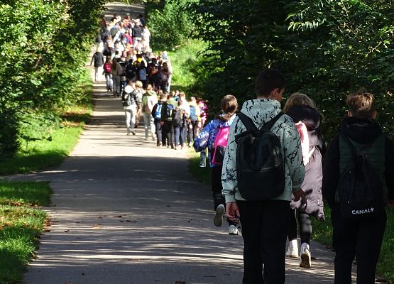 Grafika 23: Turystyczne obchody ETZT