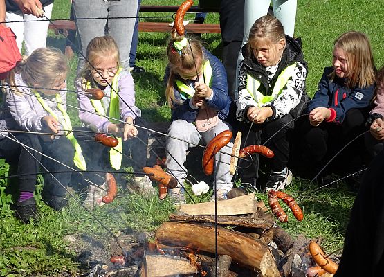 Grafika 32: Turystyczne obchody ETZT