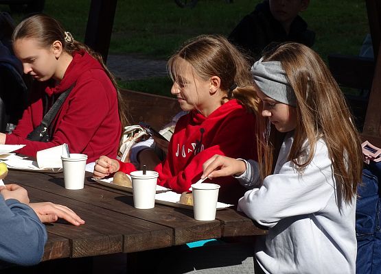 Grafika 29: Turystyczne obchody ETZT