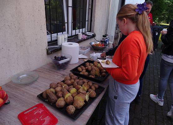 Grafika 25: Turystyczne obchody ETZT