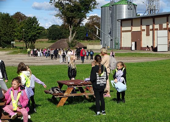 Grafika 35: Turystyczne obchody ETZT