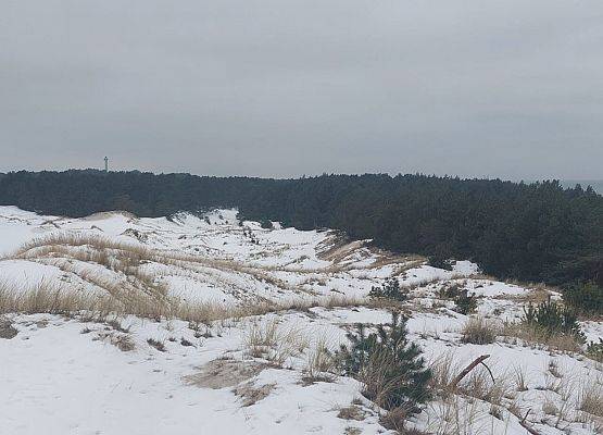Grafika 14: Zimowe ferie – dziękujemy za udział i zaangażowanie!