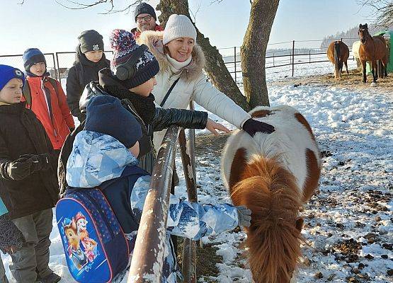 Grafika 3: Zimowe ferie – dziękujemy za udział i zaangażowanie!