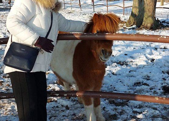 Grafika 4: Zimowe ferie – dziękujemy za udział i zaangażowanie!