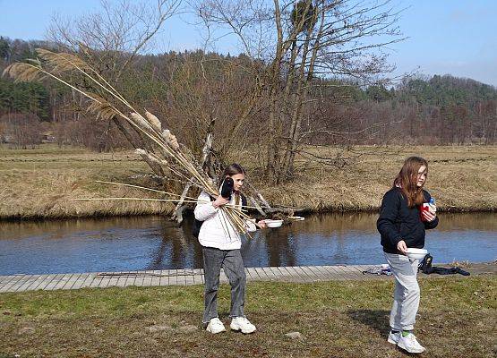 Grafika 14: Świętowaliśmy nadejście wiosny!
