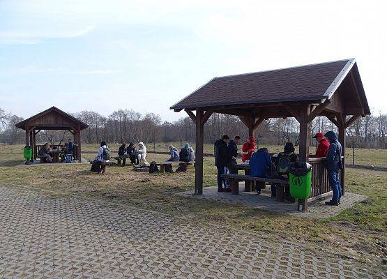 Grafika 15: Świętowaliśmy nadejście wiosny!