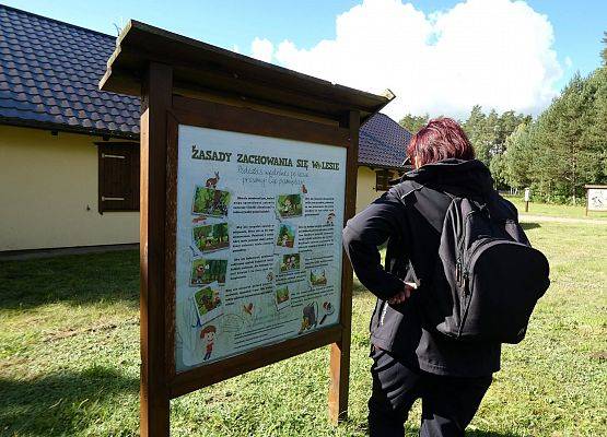 Grafika 15: Leśnym szlakiem nad Jezioro Osowskie
