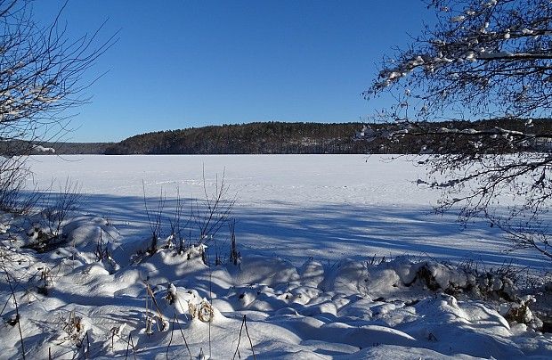 Jezioro Lubowidzkie