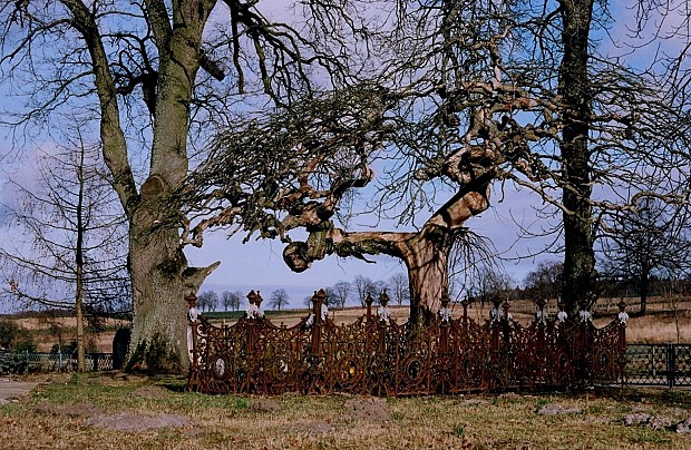 Kościół pw. Wniebowzięcia Najświętszej Maryi Panny w Roszczycach