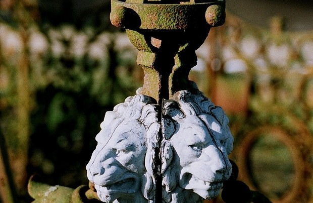 Kościół pw. Wniebowzięcia Najświętszej Maryi Panny w Roszczycach