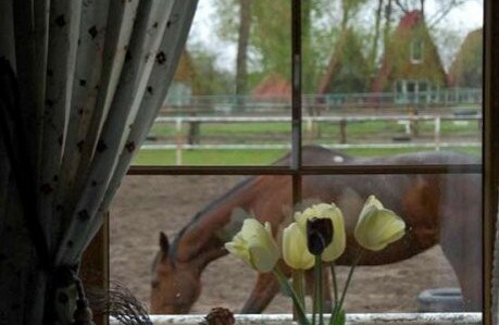 Zdjęcie ze strony www.nowecin.com.pl/pl/restauracja