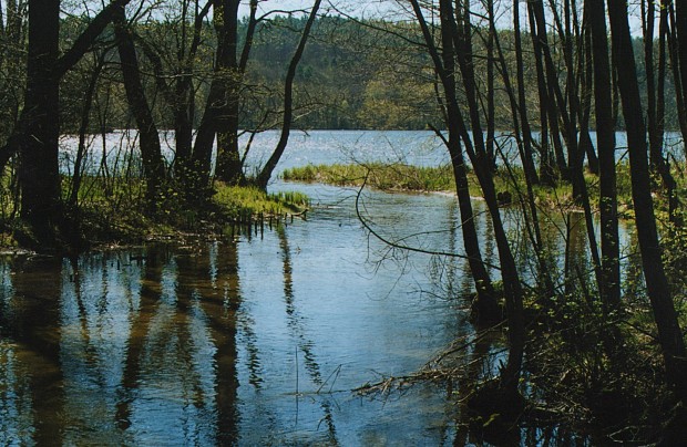 Jezioro Lubowidzkie