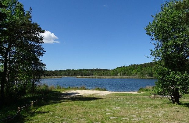 Jezioro Brody (Krępkowickie)