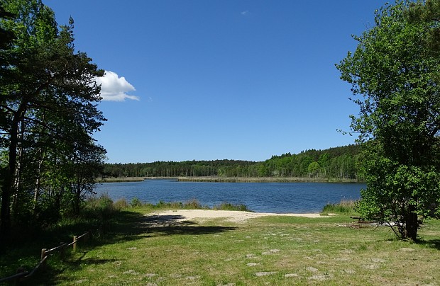 Jezioro Brody (Krępkowickie)