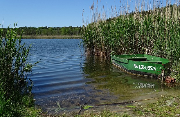 Jezioro Brody (Krępkowickie)