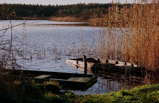 Jezioro Brody (Krępkowickie)