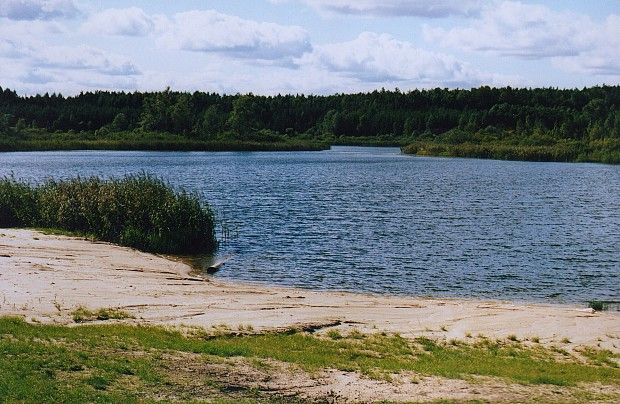 Jezioro Brody (Krępkowickie)