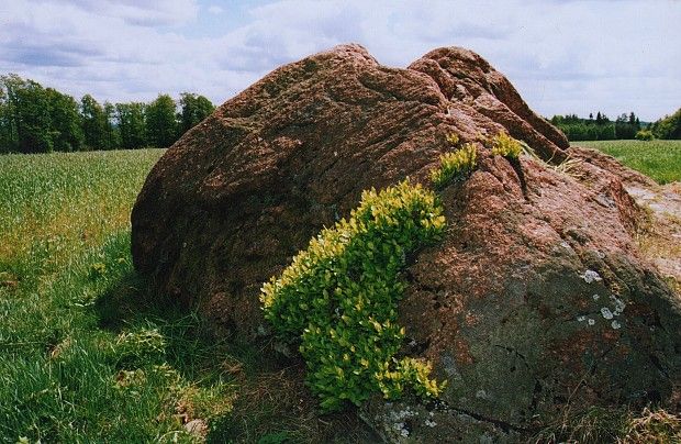 "Czerwony Kamień"