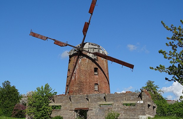 Wiatrak holenderski w Zdrzewnie