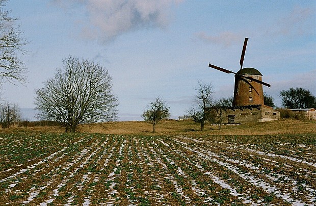 Wiatrak holenderski w Zdrzewnie