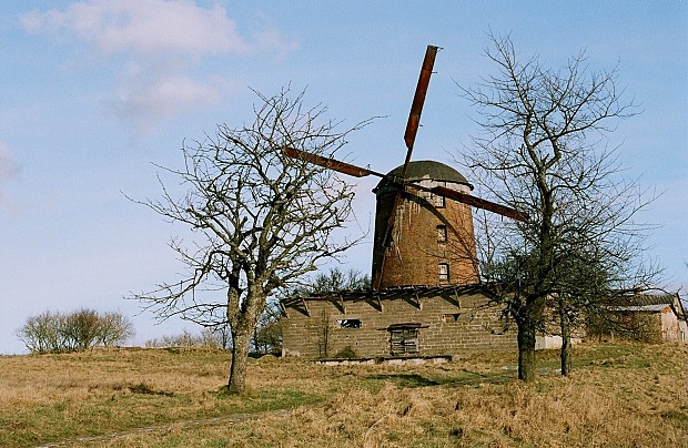 Wiatrak holenderski w Zdrzewnie