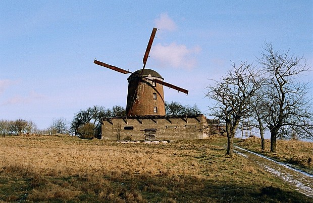 Wiatrak holenderski w Zdrzewnie