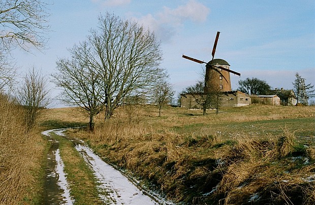 Wiatrak holenderski w Zdrzewnie