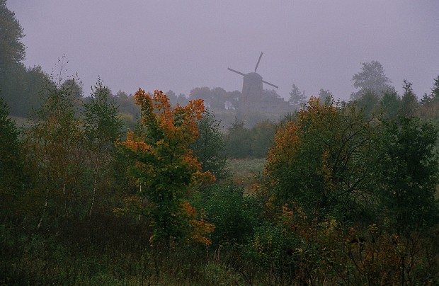 Wiatrak holenderski w Zdrzewnie