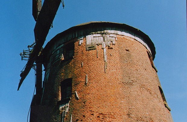 Wiatrak holenderski w Zdrzewnie