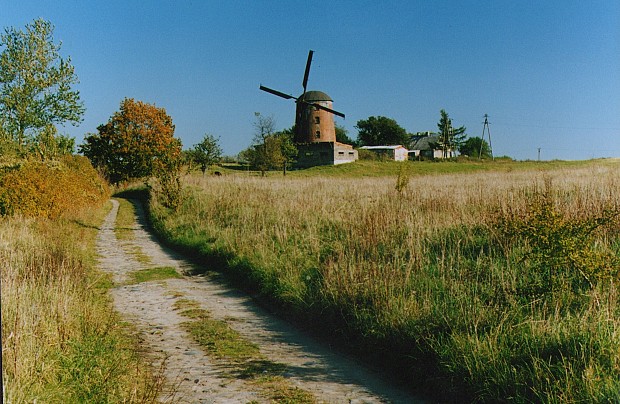 Wiatrak holenderski w Zdrzewnie