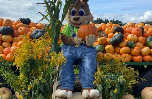 Zdjęcie ze strony www.facebook.com/farmaalexa