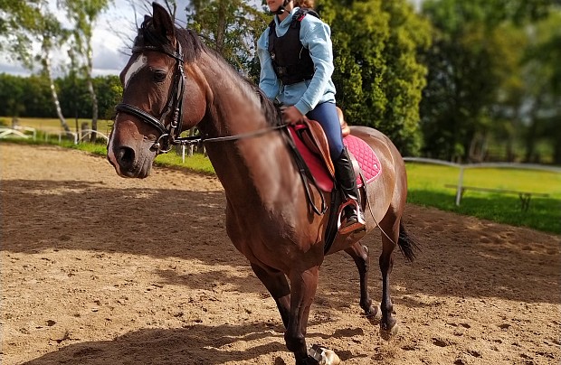 "Pałac pod Bocianim Gniazdem" – Twój Raj na Pomorzu