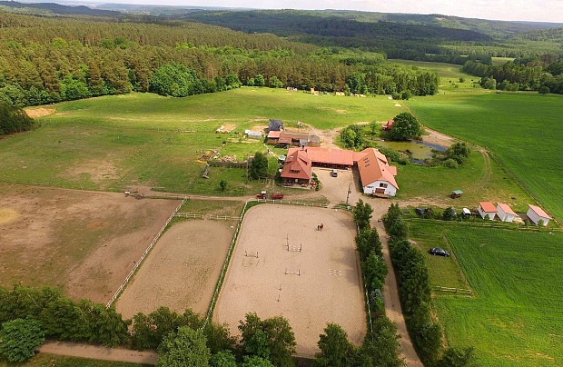 Stadnina Koni Runowo