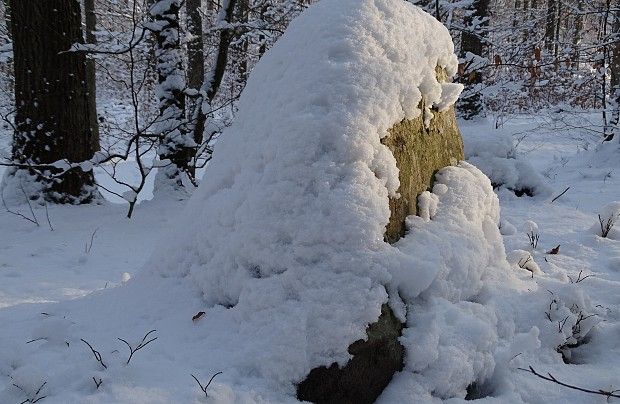 Głaz "Cukrowa Głowa"