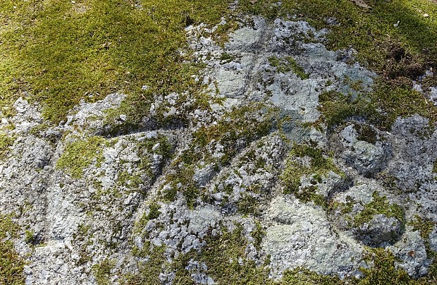 Kamień graniczny z datą