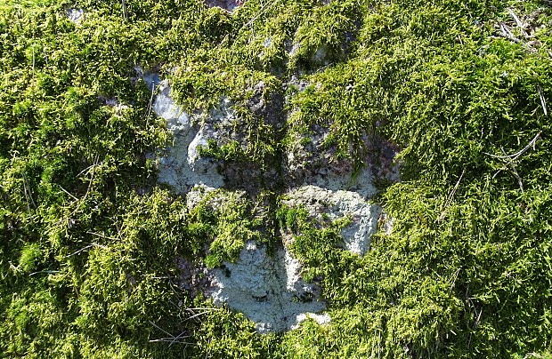 Kamień graniczny II (Unieszynko)